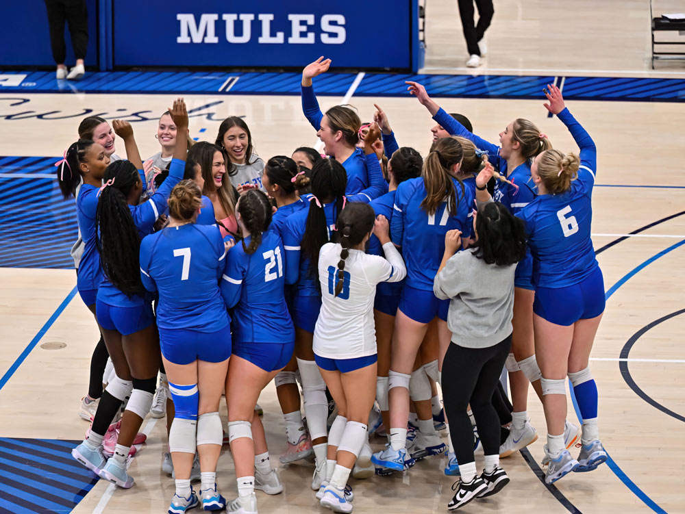 Team Celebrating 